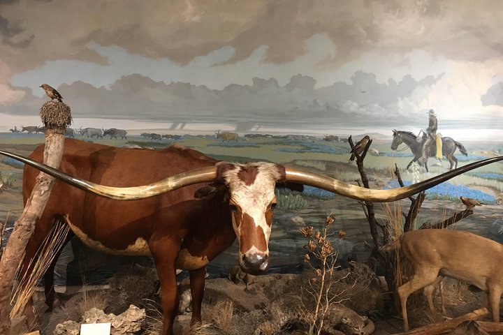 Experience Image img1