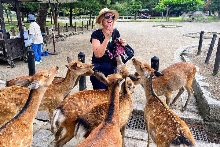 Experience Image img4