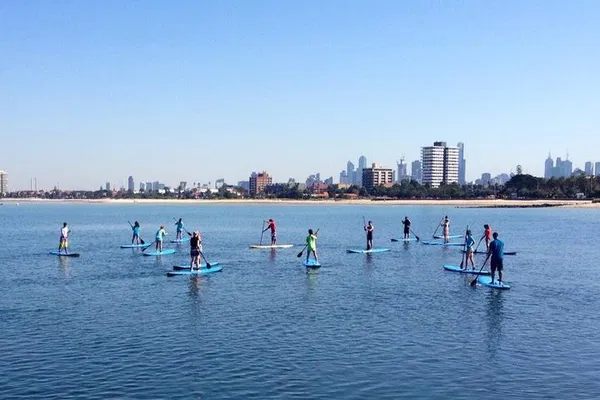 St Kilda SUP Lesson: Paddleboard Adventure & Penguin Views!