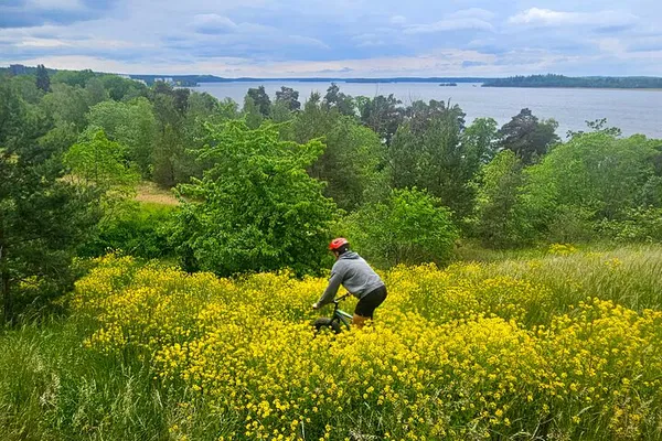 Stockholm Fat Bike Adventure: Forest Trails, Sauna & Lakeside Lunch