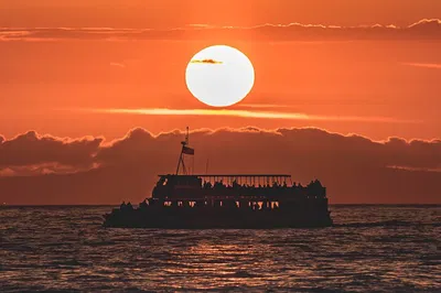Newport Beach Sunset Cruise: Golden Coast Views