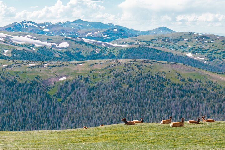 Experience Image img1