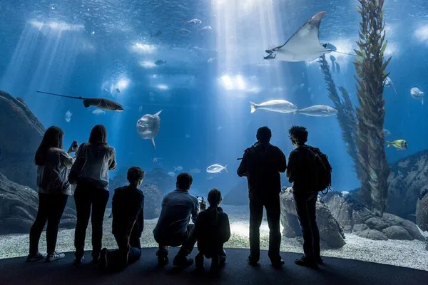 Lisbon Oceanário: Skip-the-Line Aquarium Ticket!