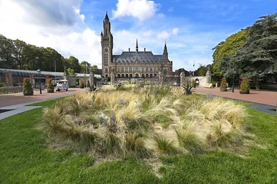 Hague Royal City Tour: Behind the Scenes!