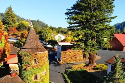 Unforgettable Russian River Valley Wine Tour: A Luxurious Escape from San Francisco