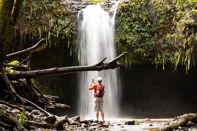 Maui Waterfall Hike: Hotel Pickup & Rainforest Adventure