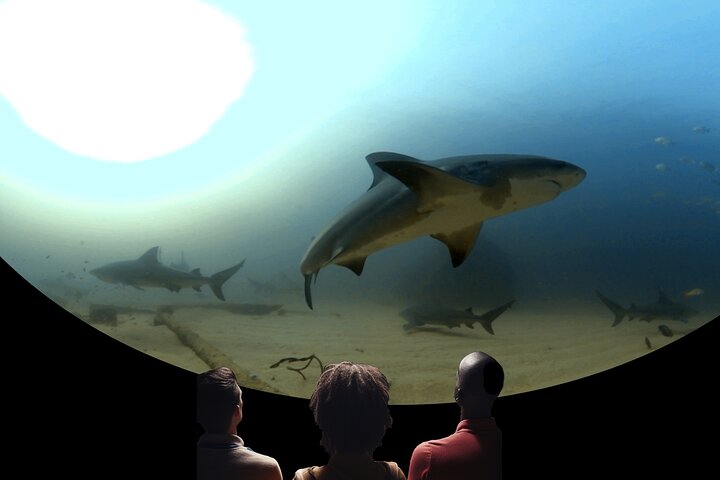 Experience Image img4