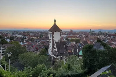Discover Freiburg: A Fun & Flexible Audio Adventure