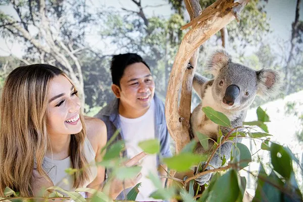 Sydney Zoo Adventure: Encounter 4,000+ Species & Native Wildlife!