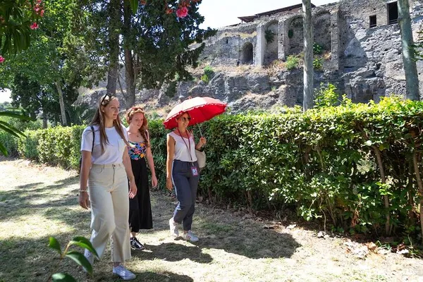 Pompeii: Expert-Led Small Group Tour
