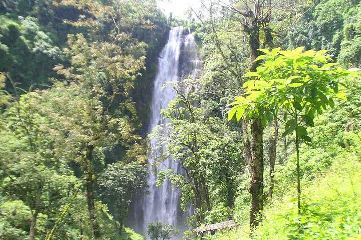 img0