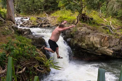 Maui Waterfall & Rainforest Hike: Small Group Adventure