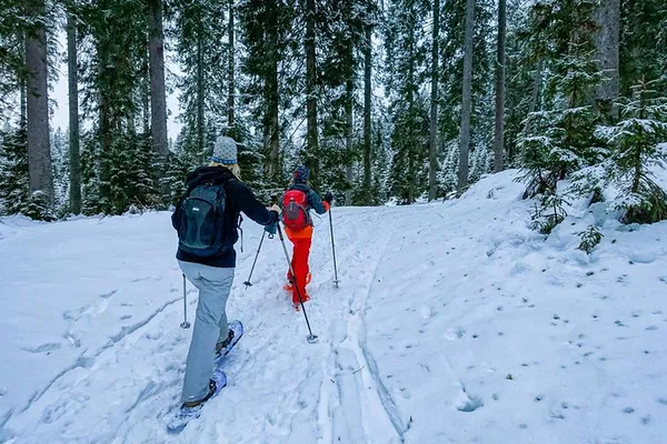Triglav National Park Snowshoeing: Explore Winter's Silent Beauty