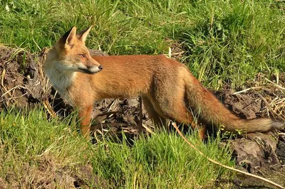 Hoge Veluwe Tour: Van Gogh & Nature from Amsterdam