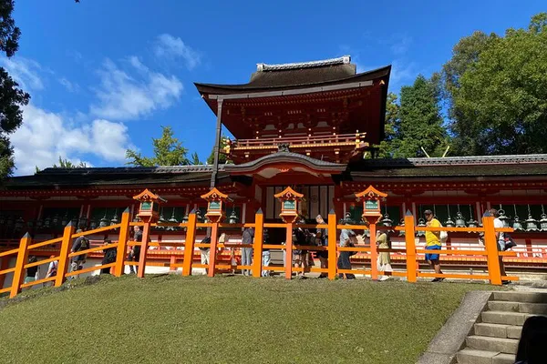 Nara Private Tour: Deer, Temples & Hidden Gems from Osaka