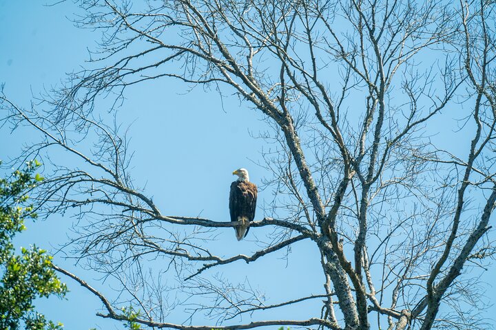 Experience Image img3