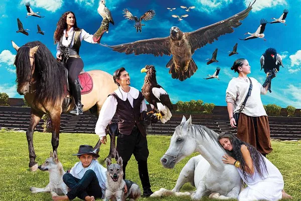 Falconry Spectacle: Witness Birds of Prey in Locarno!