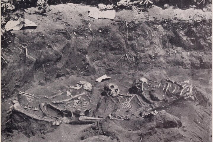 Experience Image img3