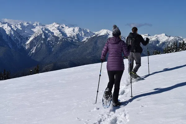 Snowshoe Hurricane Ridge: Guided Tour in Olympic Park