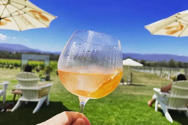 Yarra Valley Delights: Wine, Chocolate, Cheese & Kangaroo Adventure!