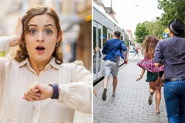 Knokke's Thrilling Hunt: An Urban Chase Adventure!