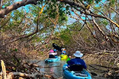 Glide Through Paradise: Premier Eco-Kayaking in Naples, Belize!