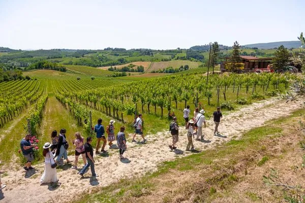 Tuscany Day Trip: Siena, San Gimignano & Pisa w/ Winery Lunch