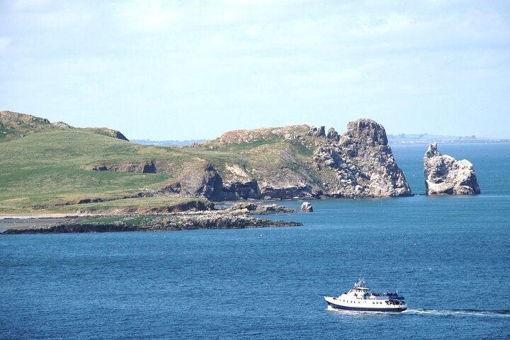 Howth's Coastal Cruise: Cliffs, Seals & Ireland's Eye Spectacle!