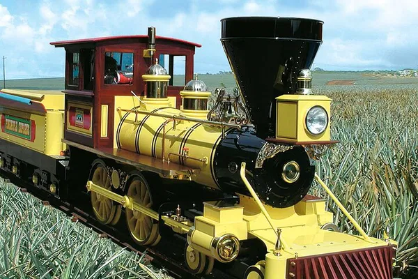 Haleiwa & Dole Plantation Tour: Oahu's Best Day Trip