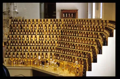 Unveiling Perfume Secrets: A Grasse Full-Day Private Tour