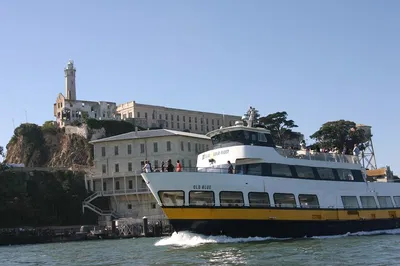 Golden Gate Adventure: Muir Woods, Sausalito & Alcatraz Views!