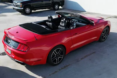 Miami Mustang Convertible Adventure: Unleash Your Inner Driver!