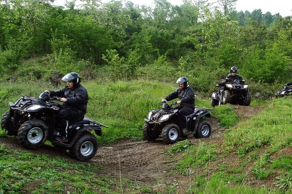 Escape Istanbul: Unveiling Sapanca & Masukiye's Natural Wonders!