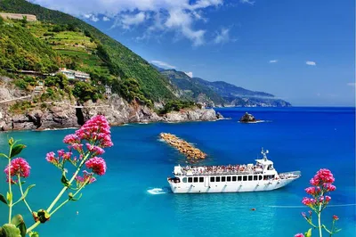 Cinque Terre & Pisa: Private Shore Excursion from Livorno
