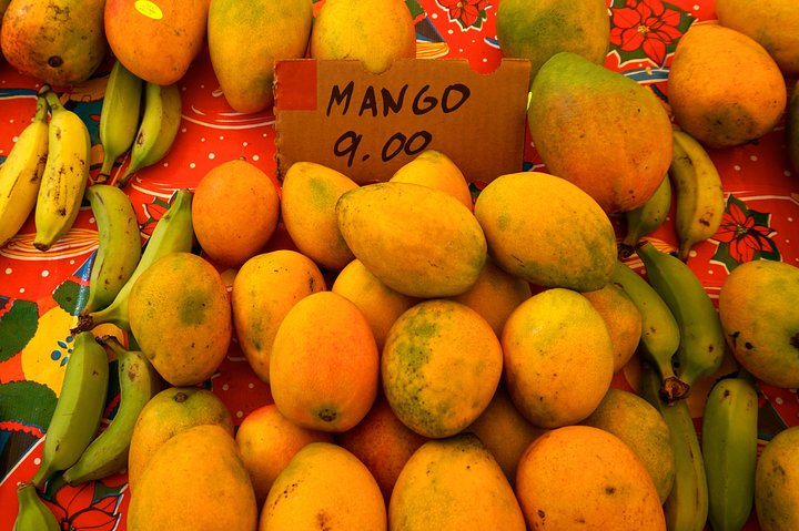 Experience Image img4