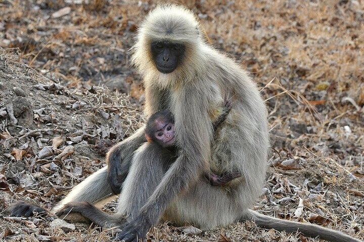 Experience Image img4