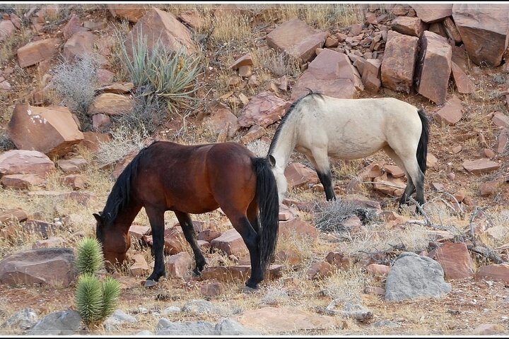 Experience Image img3