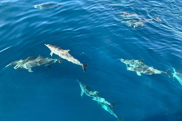 img0