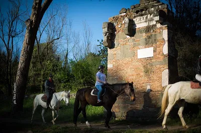 Gallop Through History: Unforgettable Horseback Ride Along Ancient Rome's Appian Way