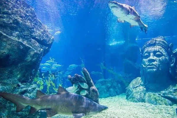 Bangkok Sealife & Tussauds: Save on Top Attractions!