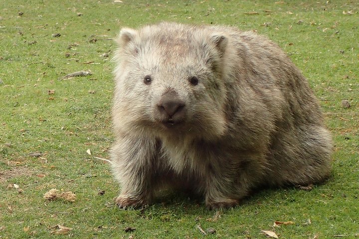 Experience Image img4