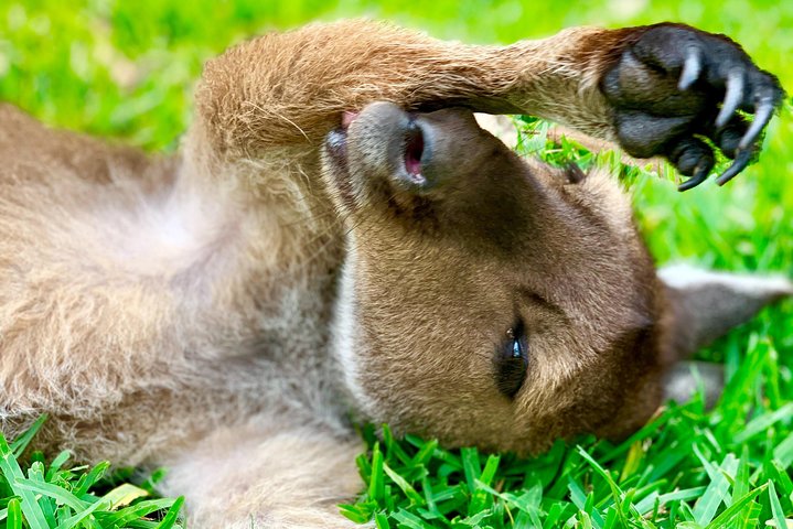 Experience Image img1