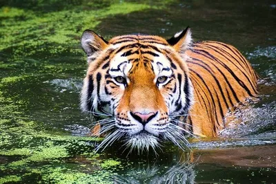 Delhi & Jaipur Private Tour: Unveiling India's Majestic Heritage