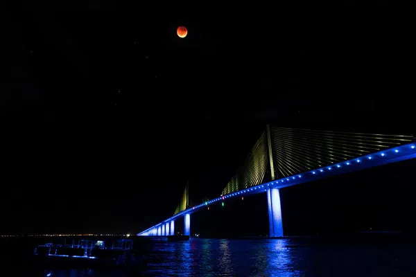 Skyway Light Show: A Starry Night Cruise Adventure
