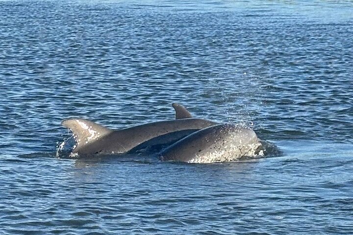 Experience Image img1