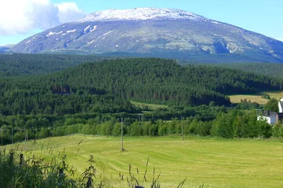 Tronfjell Mountain Car Tour: Views, Lunch & Photos!