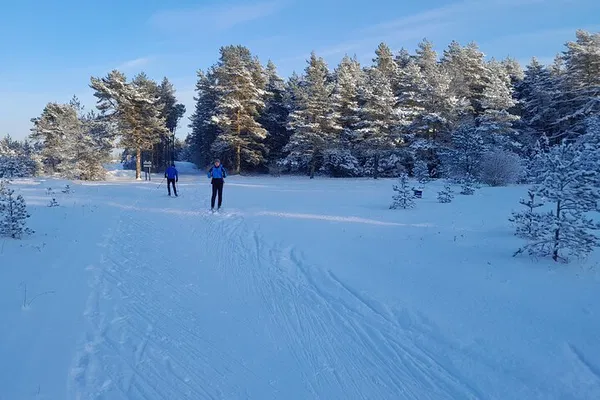 Learn Cross-Country Skiing in Tallinn, Estonia!