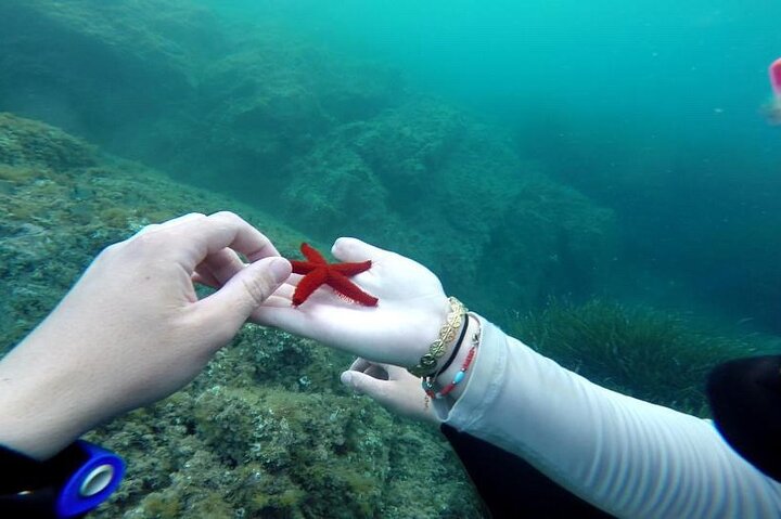 Experience Image img4