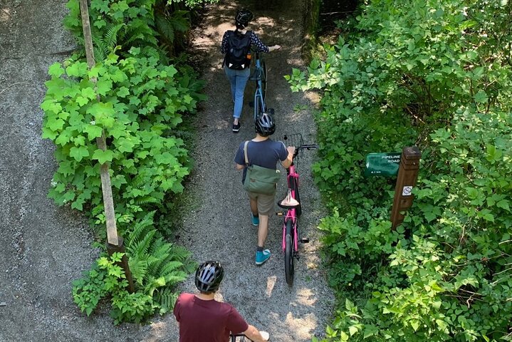 Experience Image img3