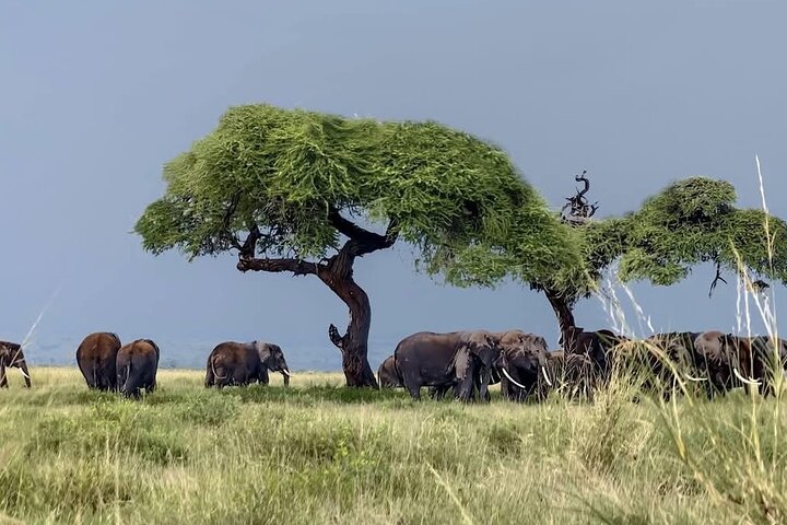 Experience Image img2